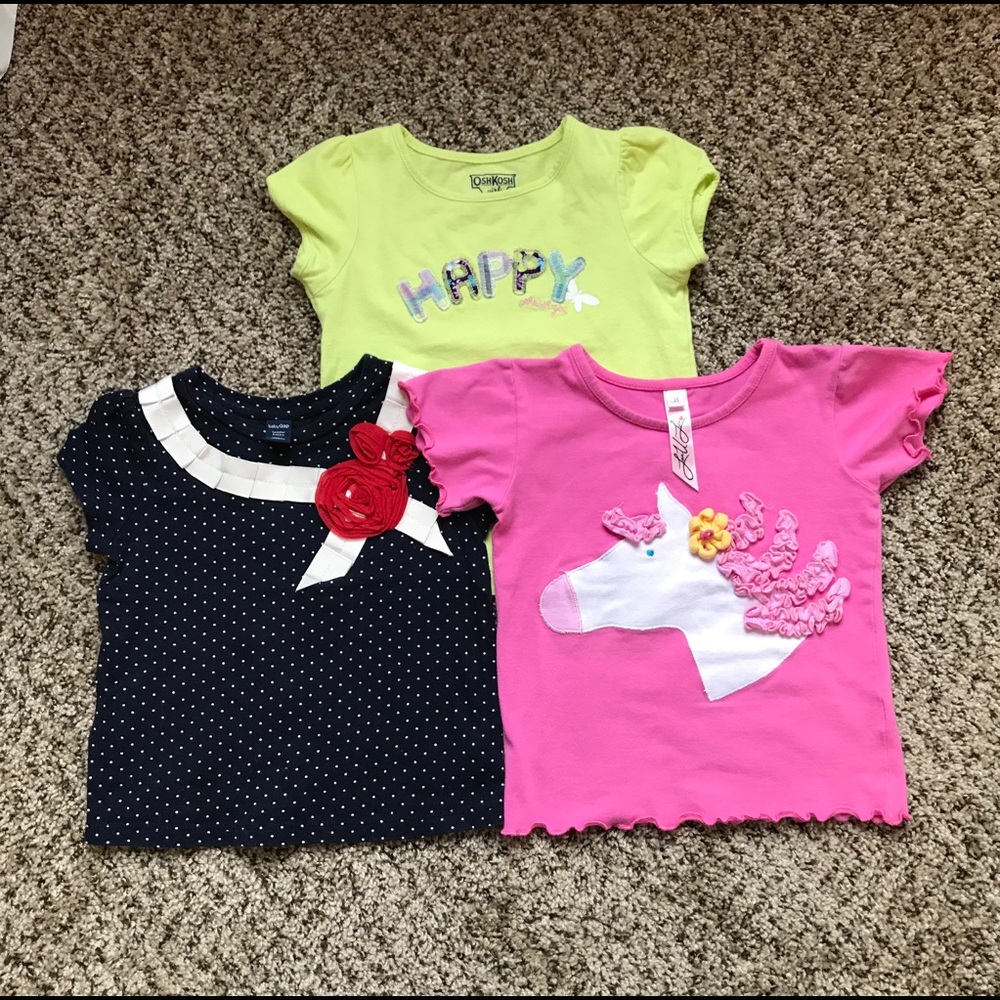Lot of 3 Girls 2T shirts